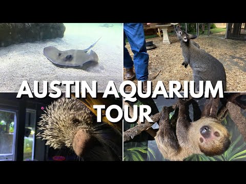 Austin Aquarium Coupons