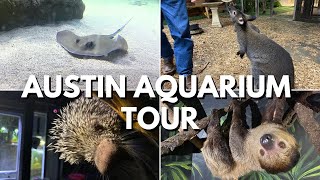 Detailed Austin aquarium tour with all the animals you'll encounter #aquarium #austin #animals