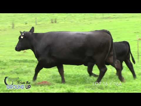 From the Ground Up Lot 16 + 16A