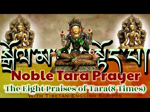 ☸Noble Tara Prayer(སྒྲོལ་མ།)The Profound Dolma Prayer for Transformation|Eight Praises Of Tara