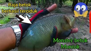Download lagu REKOR TERBARU 2022 || MANCING IKAN BETOK/PAPUYU TERBESAR mp3 Download lagu REKOR TERBARU 2022 || MANCING IKAN BETOK/PAPUYU TERBESAR mp3