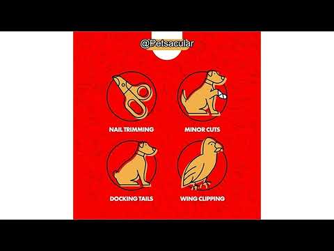Miracle Care Kwik Stop Styptic Powder Review: Is It the Best Bleed Stop for Pets?