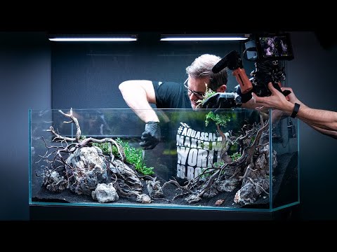 FILIPE OLIVEIRA AQUASCAPING WORKSHOP PART 2 - PLANTING