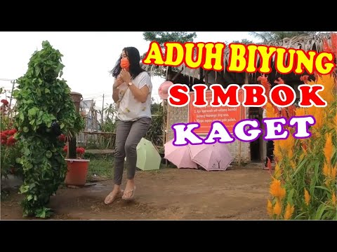 prank-jahil-dan-kocak-surprise-di-taman-bunga-celosia-purwokerto