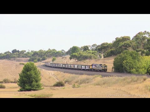 Broad Gauge Grain Train On Lovely Banks - PoathTV Australian Railways