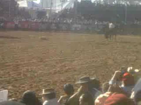 SENHOR DE SANTA TEREZA