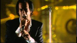 nick cave live-easy money, supernaturally,the lyre of orpheus,babe you turn me on