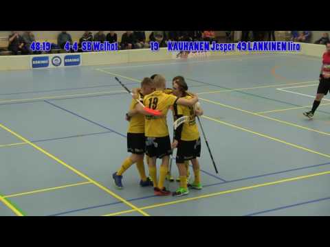 Blue Fox - SB Welhot - su 8.1.2017 - Maalikooste