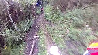 Jelajah hutan ulubongka...