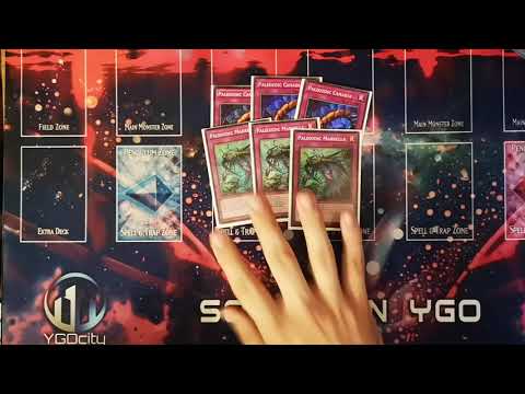 Decks That Won My Locals - Me - 60 Card Paleozoic Frogs