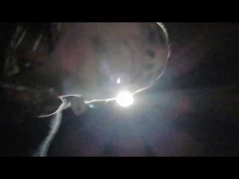 I sneeze when I get back from the music festival