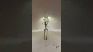 Download lagu Kar Yağışı | Rüzgar Sesi ❄️ mp3
