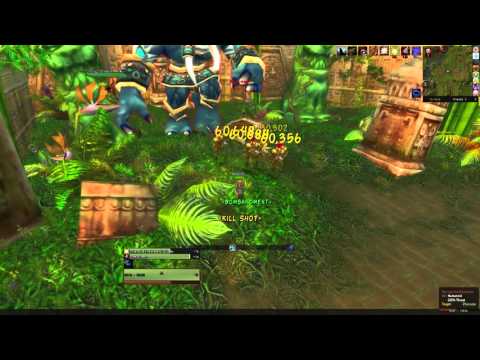 WoW: Zul'Gurub (Heroic) Mount Run