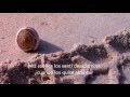 Jaci Velasquez - A Tu Lado Es mi Lugar (with lyrics)