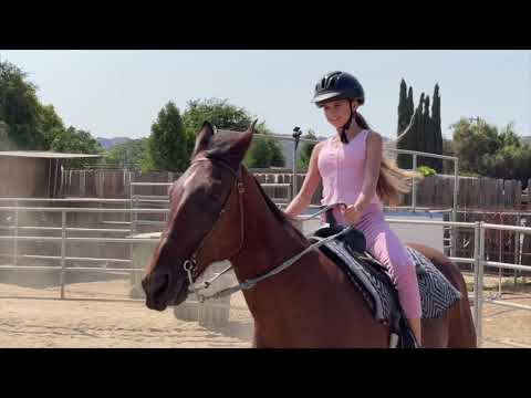 I am JOGGING on the HORSE for the FIRST time