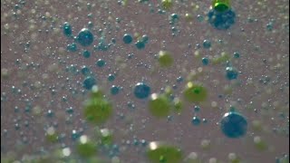 オイル モーション 作り方 Watch Hd Mp4 Videos Download Free