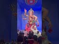 Ganeshgalli 2025 Mumbai Cha Raja Shorts