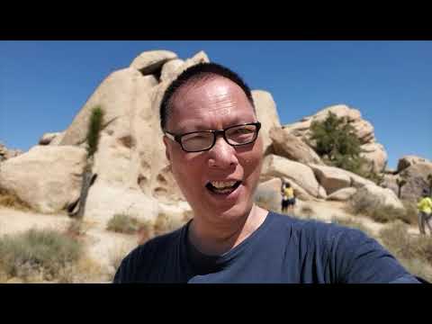 Rock Climbing At Joshua Tree National Park