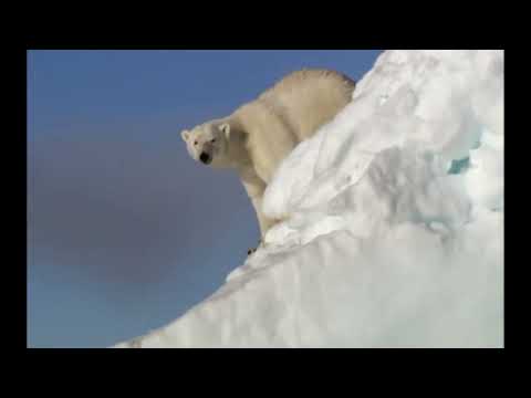 Speakout Intermediate Unit 10 BBC DVD