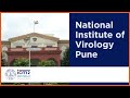 ICMR NIV Pune India S Apex Viral Research Institute Diagnostics Epidemiology Vaccinology