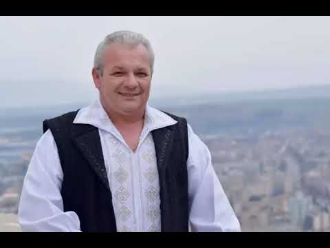 Adrian Stanca - Banatean intotdeauna