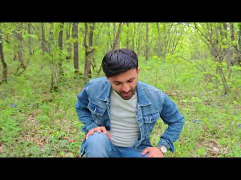 Nahid Ceferoglu - Sevmeyi Öyretdim (Klip 2025)