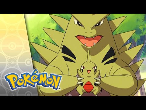 La storia di Larvitar: da uovo all'addio | Pokémon Stagione 5