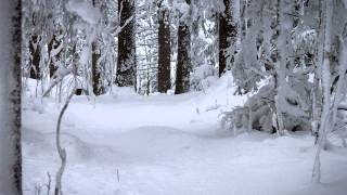 Booker T & The MG's - Merry Christmas Baby