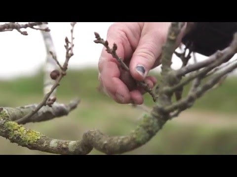 download lagu mp3 mp4 Jilly Morris, download lagu Jilly Morris gratis, unduh video klip Jilly Morris