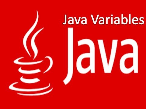 Selenium 8 Java Variables