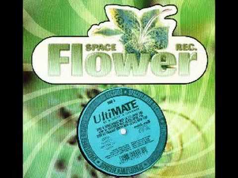 Ultimate - It's Not A Shame (Hardtrance Mix) - Spaceflower Records - 1998