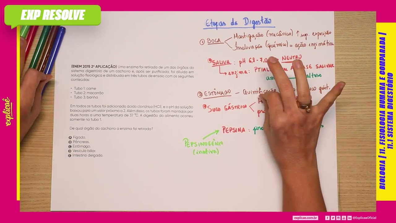 UMA ENZIMA FOI RETIRADA DE UM DOS ÓRGÃOS DO SISTEMA DIGESTÓRIO DE UM  (...) | SISTEMA DIGESTÓRIO