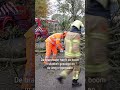 FIETSSTER GEWOND nadat BOOM op haar valt ?? | #Shorts