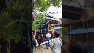 Download lagu tertimpa sound horeg bikin ngilu liatnya mp3 Download lagu tertimpa sound horeg bikin ngilu liatnya mp3