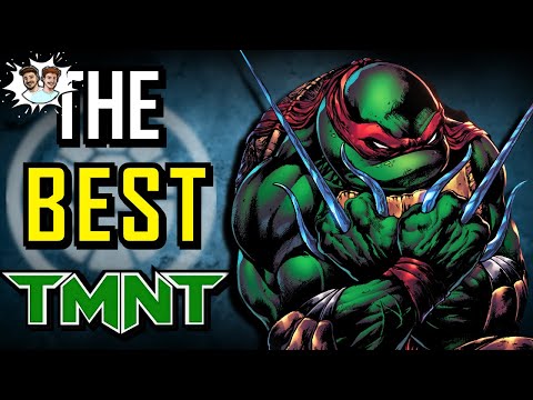 Who is the ACTUAL Best Ninja Turtle?
