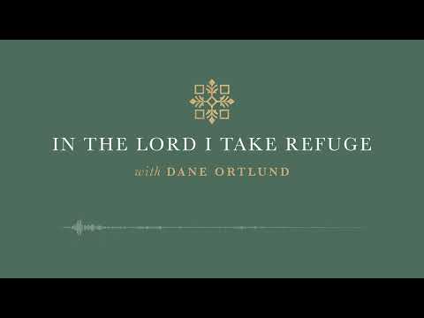 In the Lord I Take Refuge: Psalm 123 - Our Eyes Look to the Lord Our God
