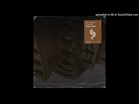 Alex Mueller & Retrika - Feel It Now (Extended Mix)