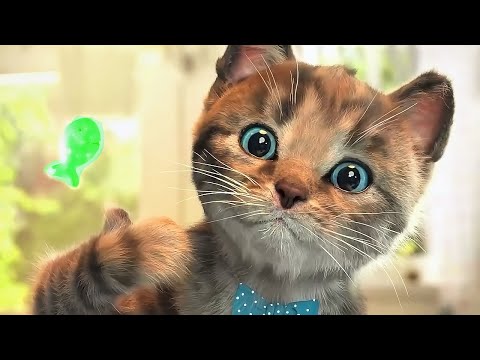 Gatinho Fofo Aventuras - Desenho Animado | Cute Kitten Little Cat Adventure - Preschool Educational
