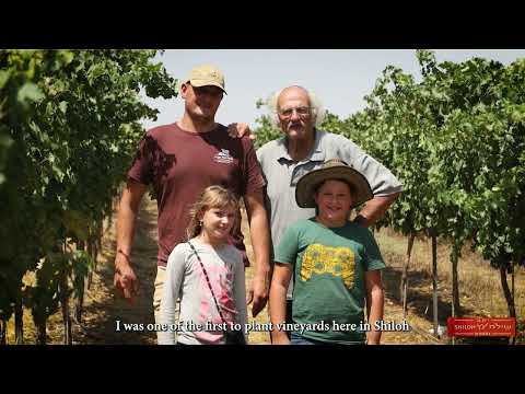 Shiloh Winery Secret Reserve