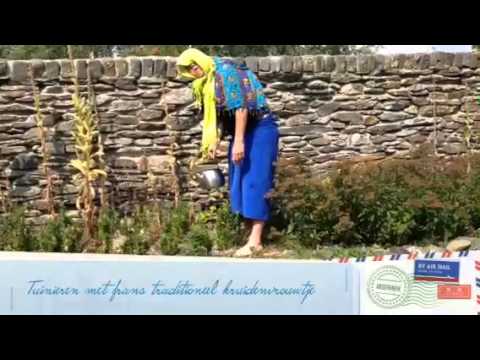 Frans kruidenvrouwtje