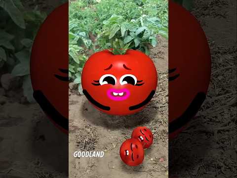 A tomate e seus filhos 🤣🤣🤣 | paródia do @GOODLANDTV #shorts