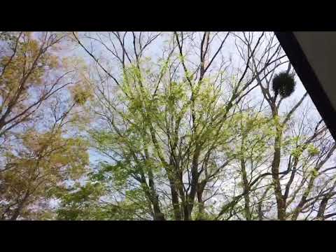 箱根ラリック美術館