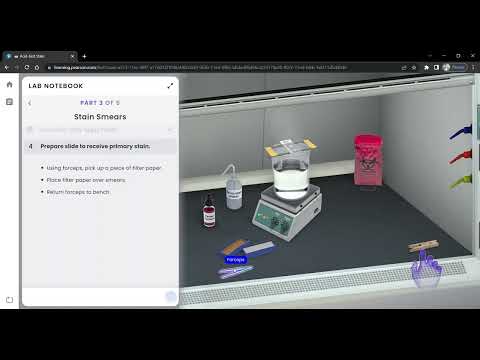 Pearson Interactive Labs | Acid-Fast Stain