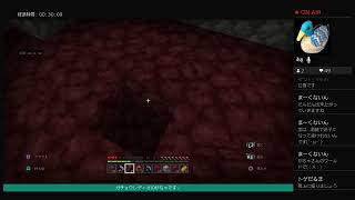 【マイクラ】少しだけ