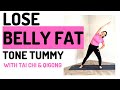 LOSE BELLY FAT TONE TUMMY 25 Mins TAI CHI Home Workout