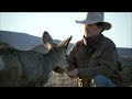 NATURE Touching The Wild Special With Joe Hutto Wildlife Artist And Naturalist