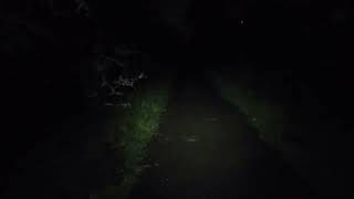 Channel members first Trail Trek is still alive!