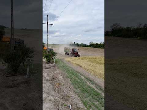 ВІН НЕ ЗБИРАВСЯ ГАЛЬМУВАТИ! 😱 #farming#tractor#farmlife#harvest#vira#shorts