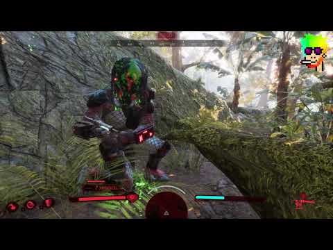 Predator Hunting Grounds with Kletis