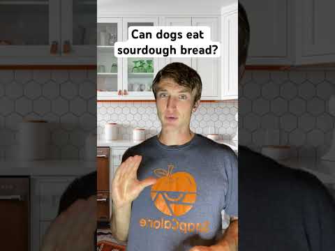 Can dogs eat sourdough bread?